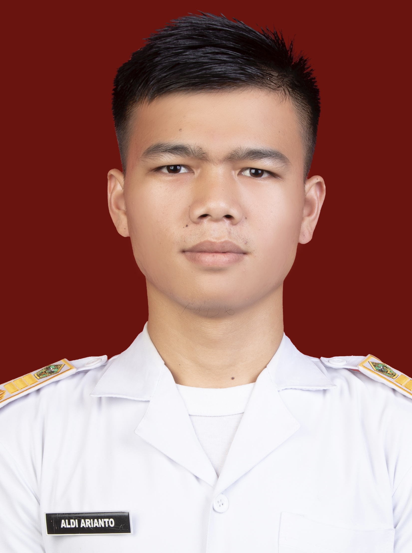 Aldi Arianto